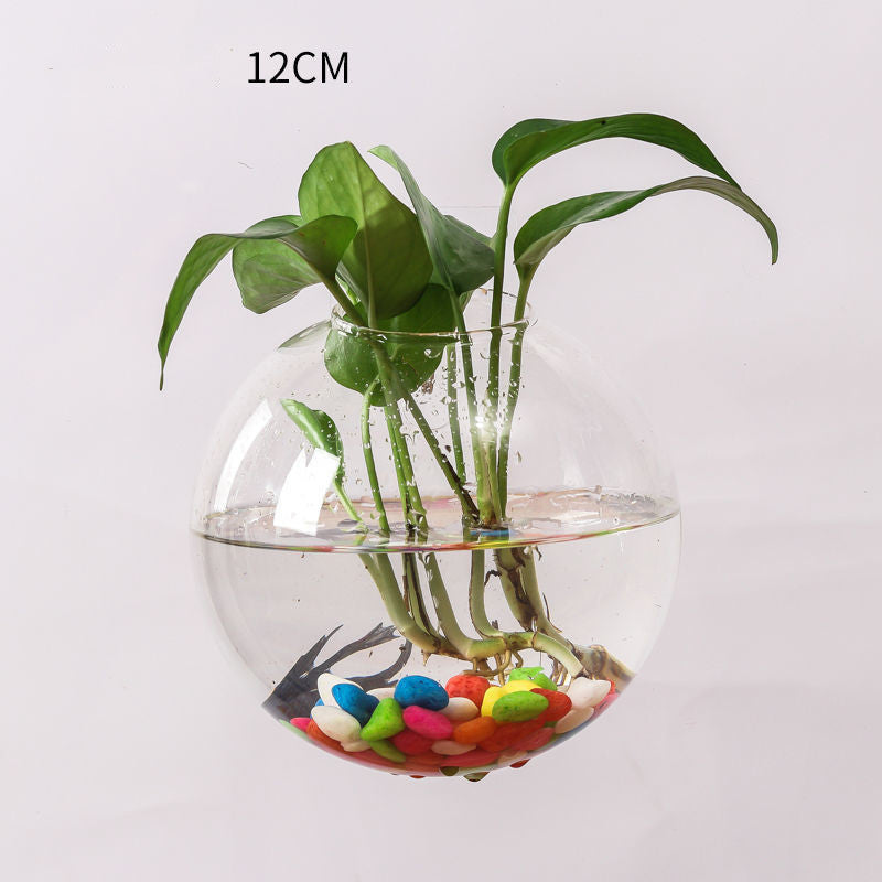 Wall Hanging Glass Terrariums Planter Oblate Flower Vase for Hydroponics Plants, Bathroom, Home Office Living Room Decor